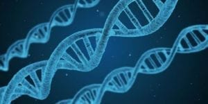Researchers Are Trying to Understand the Link Between Specific Genetic Variants and Symptoms in Neurofibromatosis Type 1