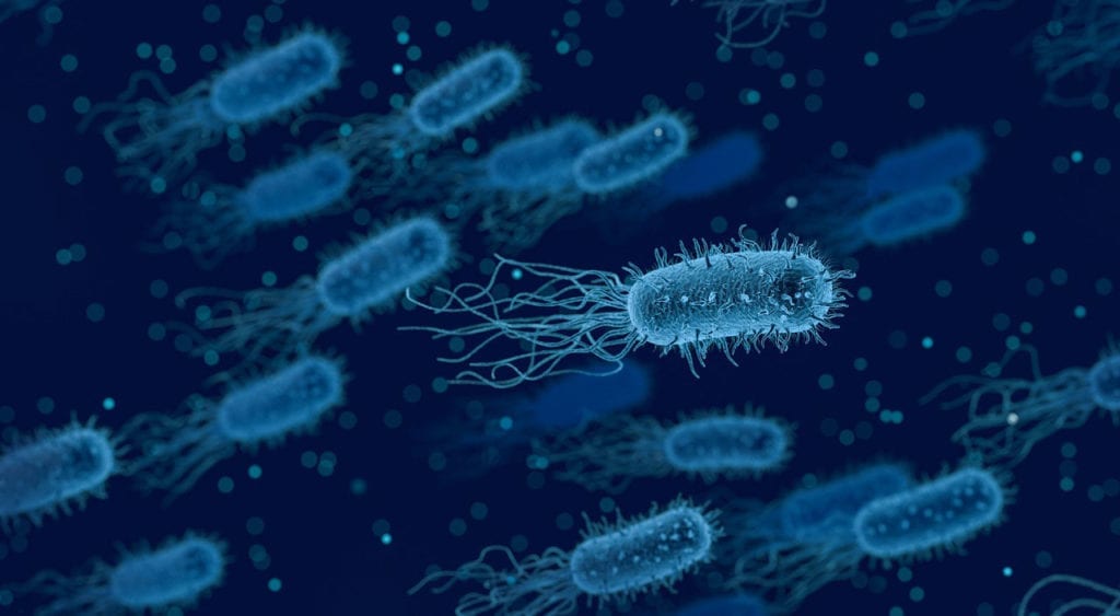 Исследование: Роль Кишечных Бактерий в Рассеянном Склерозе
