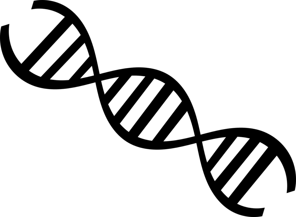 In-Body Genome Editing: A New Potential Cure for Hunter Syndrome