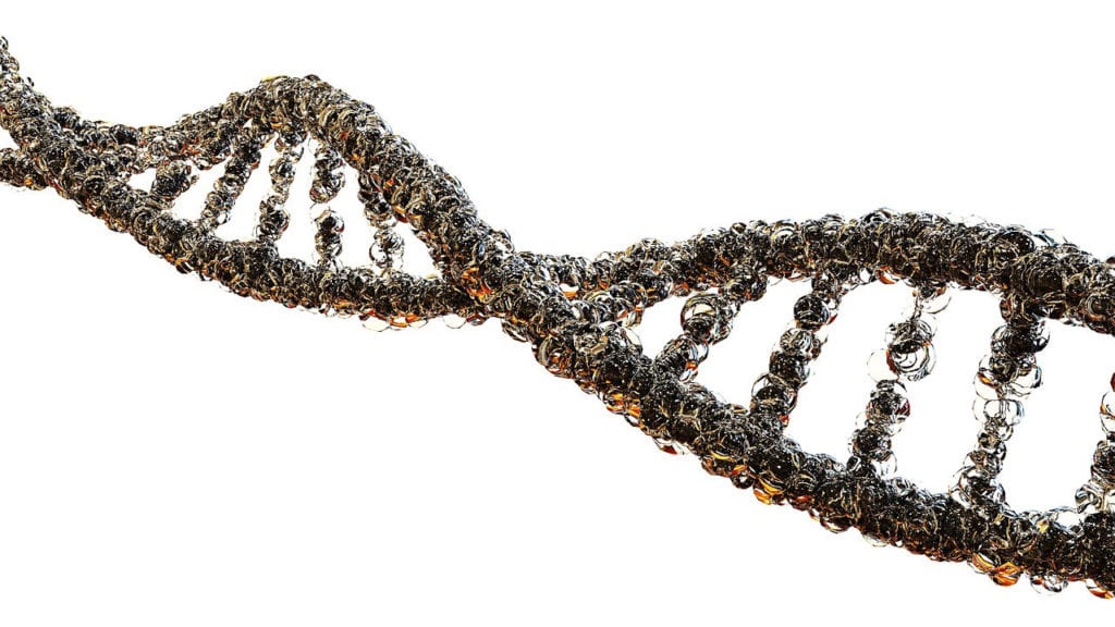 El Descubrimiento de Angioedema Hereditario es el Primer Paso Hacia la Terapia Génica