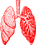 Dr. Haqqani Unpacks Why New Research Improves PAH Survival