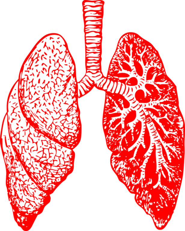 The Relationship Between Asthma and Alpha-1 Antitrypsin Deficiency