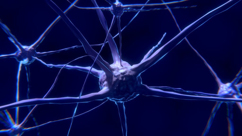 CZI ha Comprometido 64 Millones de Dólares para La Investigación de Trastornos Neurodegenerativos