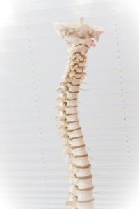 La Interpretación de Lee Cooper Sobre la FIV + PGT: ¿Una Forma de Prevenir Todas las Condiciones Genéticas Fatales, Como la Atrofia Muscular Tipo 1?