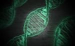 Poll Finds Broad Support For The Use of Gene Editing to Protect Against Genetic Diseases