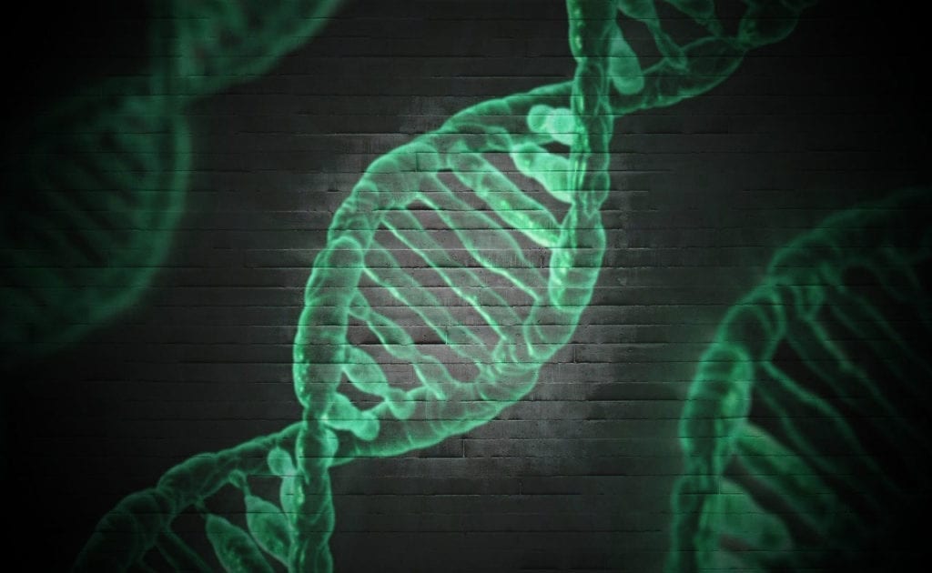 Encuesta Encuentra un Amplio Apoyo Para el Uso de La Edición de Genes para Protegerse Contra Enfermedades Genéticas