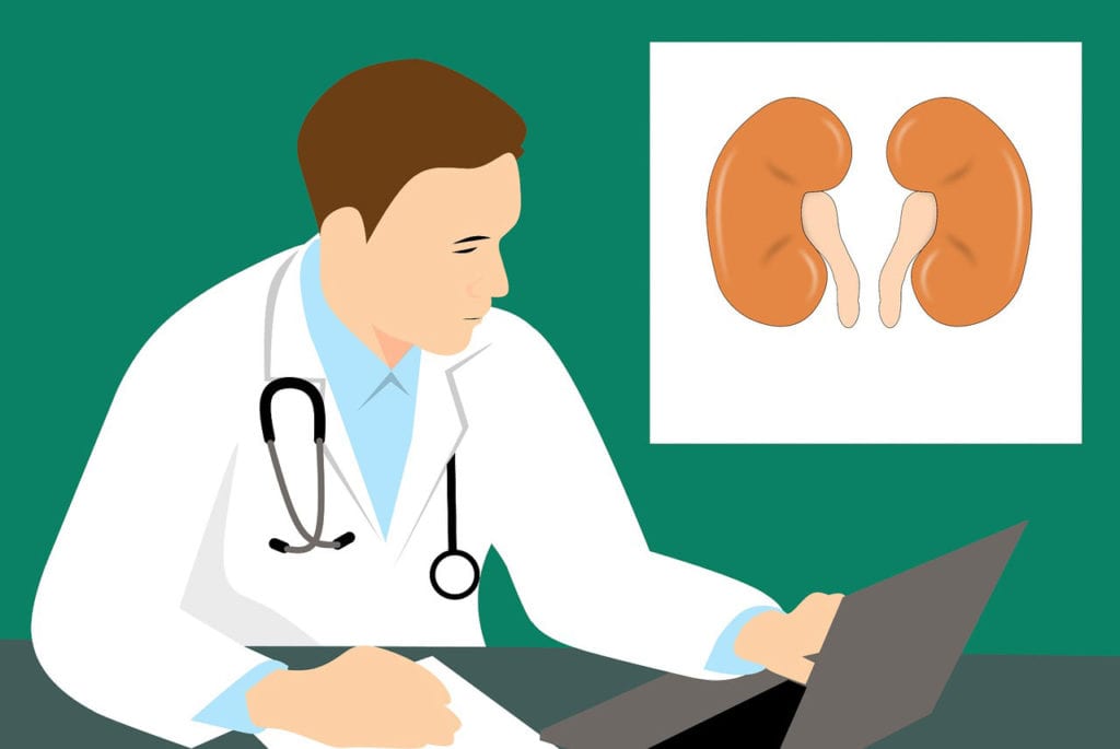 Males With ANCA-Associated Vasculitis Not at Higher Risk of Death or Kidney Failure