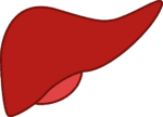 Positive Results From Phase 2 Trial for Autoimmune Hepatitis