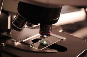 Новое Исследование Подчеркивает Связь Между Миодистрофией Дюшенна и Рабдомиосаркомой