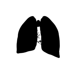Nuevo Ensayo Clínico de Fase 1 para una Posible Medicación Oral para Infecciones Micobacterianas No Tuberculosas (MNT)