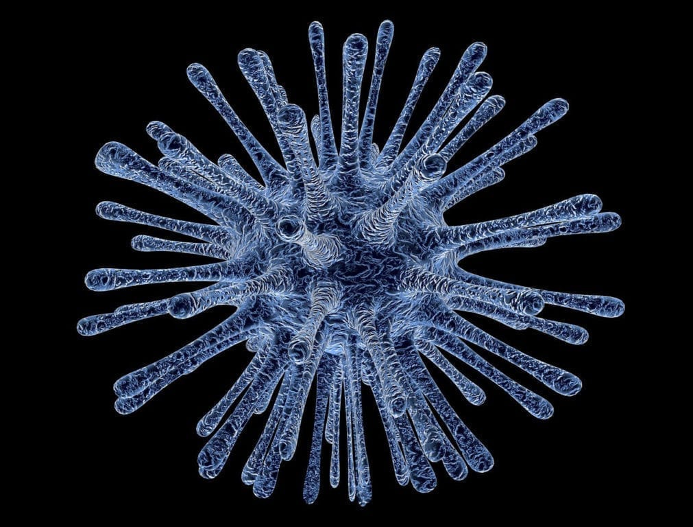 Un Nuevo Estudio Identifica Una Posible Causa de Enfermedad Similar a la Polio, Mielitis Flácida Aguda