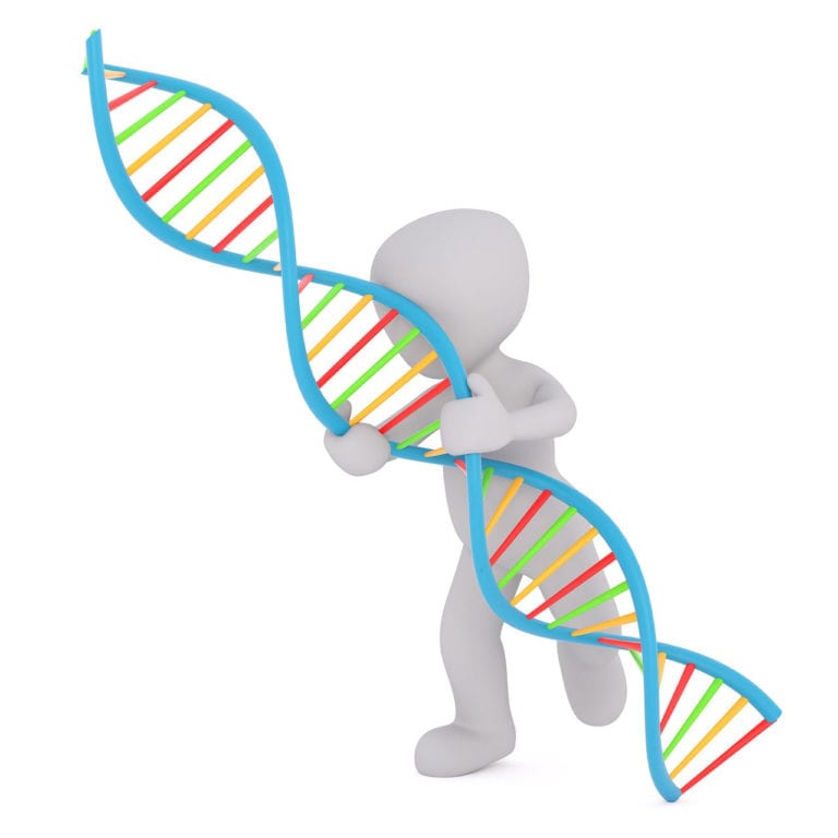 Эпигенетический Тест, Разработанный в Великобритании, Может Помочь Диагностировать Генетические Нарушения