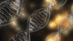 CDKL5 Could Be Treatable into Adulthood, Study Shows