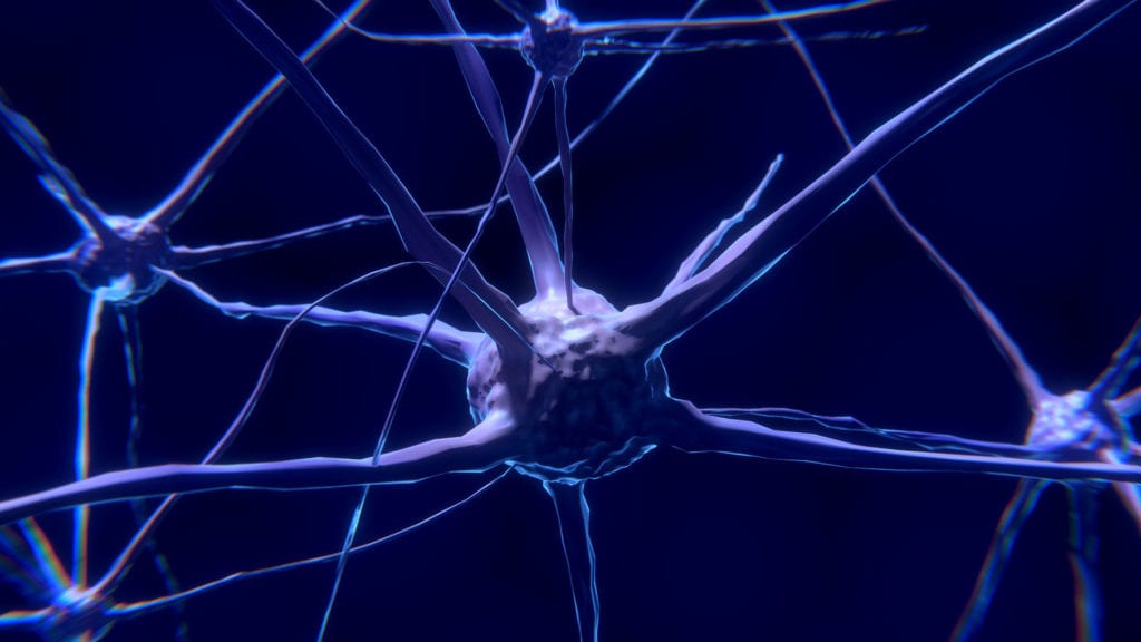 Study Suggests Brain Enzyme Might Form Tubes That Transport Huntington’s Disease Protein