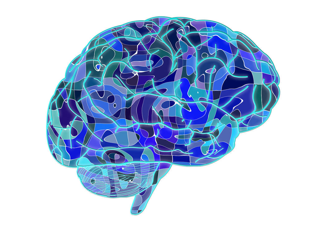 Study Gives Researchers Greater Understanding of Primary Progressive Aphasia