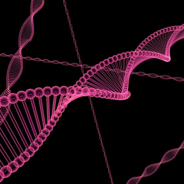 Investigadores Descubren una Nueva Variante Genética Relacionada con la Esclerosis Lateral Amiotrófica