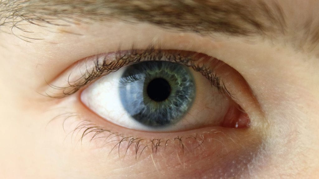 Study Indicates Need for More Ocular Geneticists to Reduce Misdiagnosis of Stargardt Disease