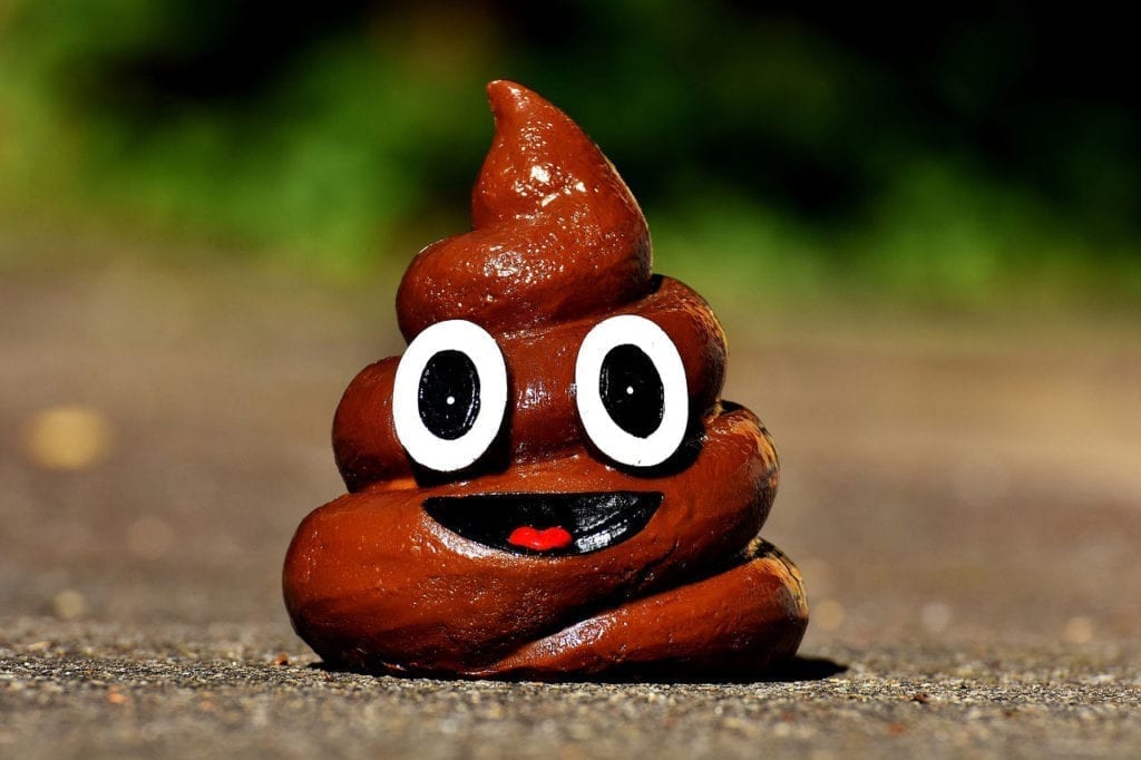 “Medicinal Poop” Effective in Curing C. Difficile Infection, Potentially Others