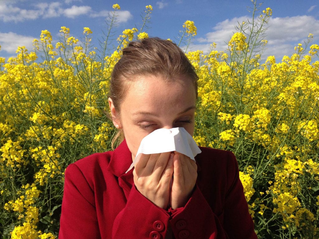 New Understanding of Allergies in Bronchiectasis Could Improve Patient Outcomes