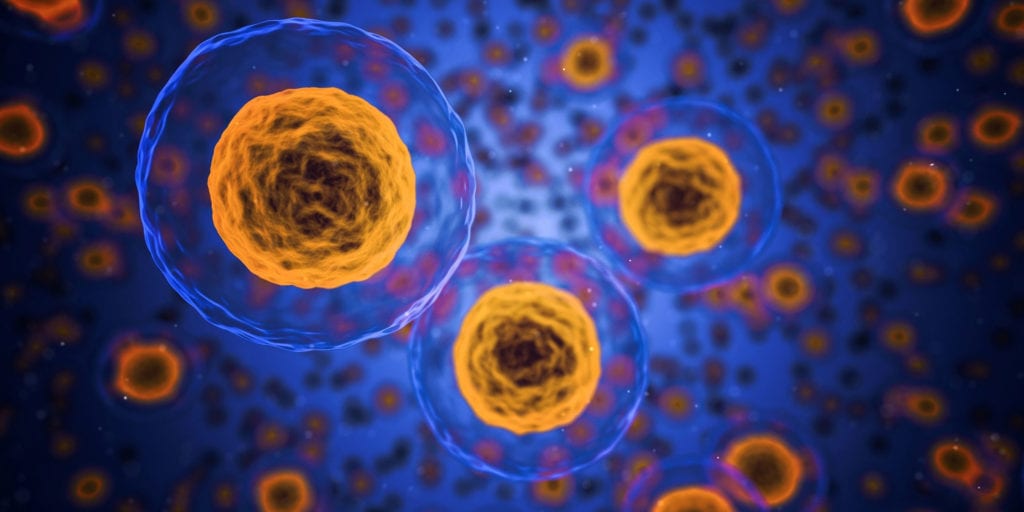 Bubble Boy Disease: A New Cure Using CRISPR Technology?