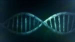 LRRK2-Lowering Gene Mutations Prove Safety of Inhibitors