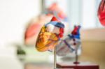 Using Imaging to Discover Pleomorphic Sarcoma of the Left Atrium: A Case Study