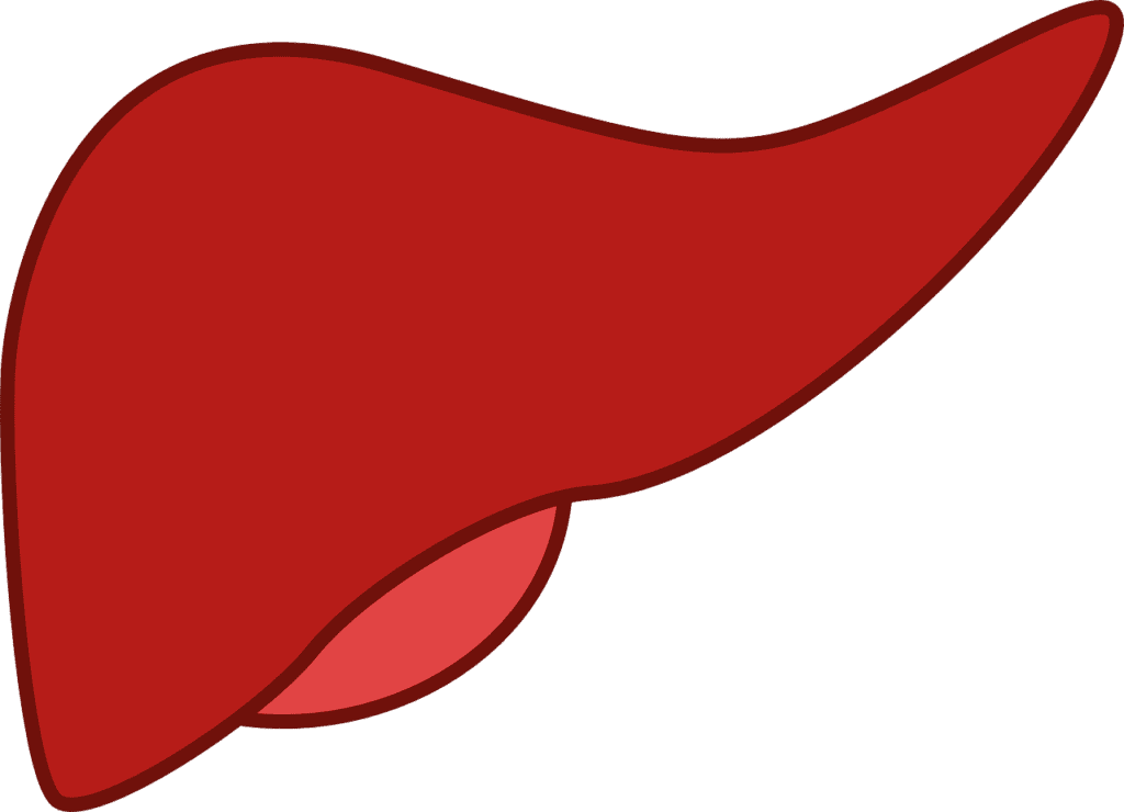 Signs and Symptoms That You Have NAFLD