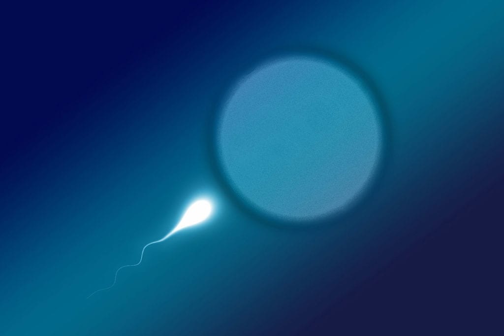 Does Sperm Cause Vulvovaginal Candidiasis? 
