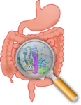 Gut Virome Changes in Infants Could Signal Necrotizing Enterocolitis