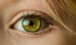Study: Treatment and Clinical Factors in Occlusive Retinal Vasculitis