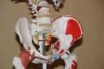 Study Finds New Effective Treatments for Axial Spondyloarthritis