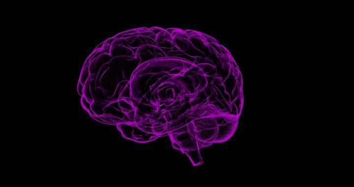 Estudio Reciente Confirma la Validez del Objetivo Terapéutico de un Medicamento Experimental Contra el Cáncer de Cerebro