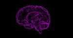 C. Light Cofounders Discuss Neurotech, Multiple Sclerosis, and Disease Detection