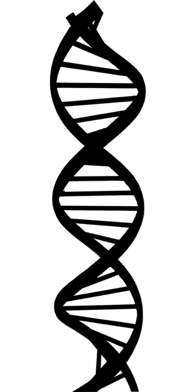 La Plataforma de Terapia Genética Muestra Resultados Positivos en el Ensayo de la Enfermedad de Fabry