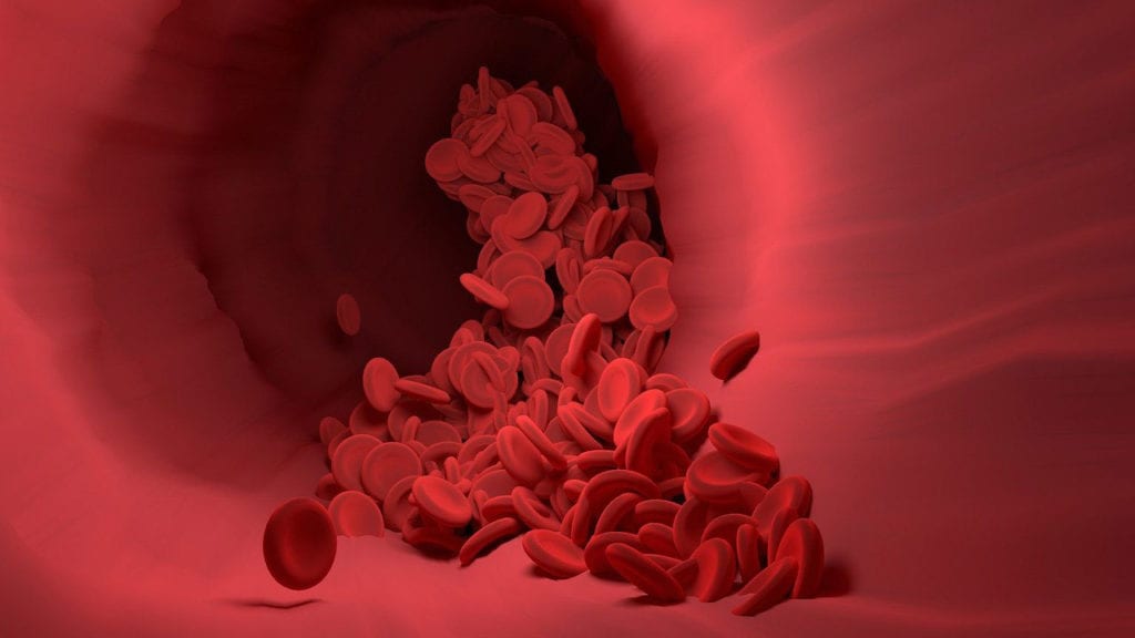 2 Mutaciones de TP53 Empeoran la Gravedad del Cáncer de Sangre, Dice un Estudio