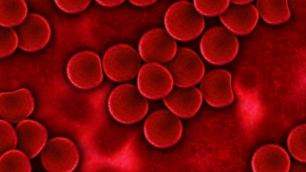 ICYMI: An Observational Blood Cancer Study is Starting to Recruit Patients