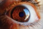 FHD-286 Will Not be Advanced for Metastatic Uveal Melanoma