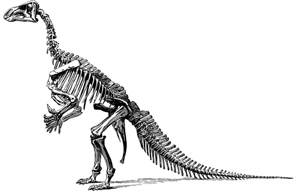 Langerhans Cell Histiocytosis Found in Dinosaur Fossils