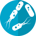 Gut Bacteria: How Does it Connect to Parkinson’s Disease?