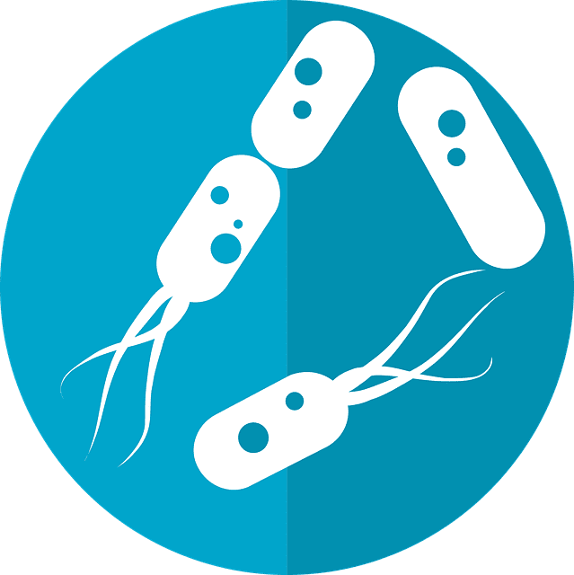 If You’re Having Trouble Sleeping, Blame Bacteria