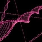 Neuroscientists Use Genetic Screen to Identify Huntington’s Disease Drug Targets