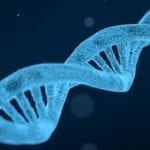 Une Avancée pour la technologie CRISPR : l’édition d’un gène dans les cellules rétiniennes d’un patient atteint d’amaurose congénitale de Leber