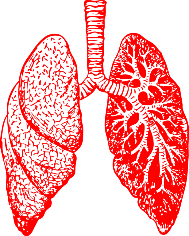 Man is Treated for EGFR-Mutated Non-Small Cell Lung Cancer