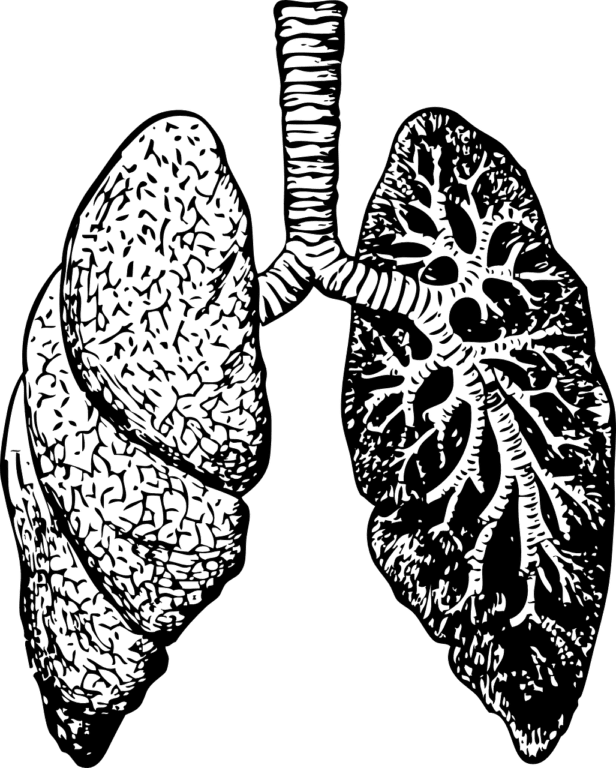 New Potential Therapy to Treat Pulmonary Fibrosis in Systemic Sclerosis and COVID-19