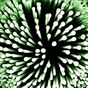 Las bacterias intestinales pronto podrían tratar una amplia gama de enfermedades