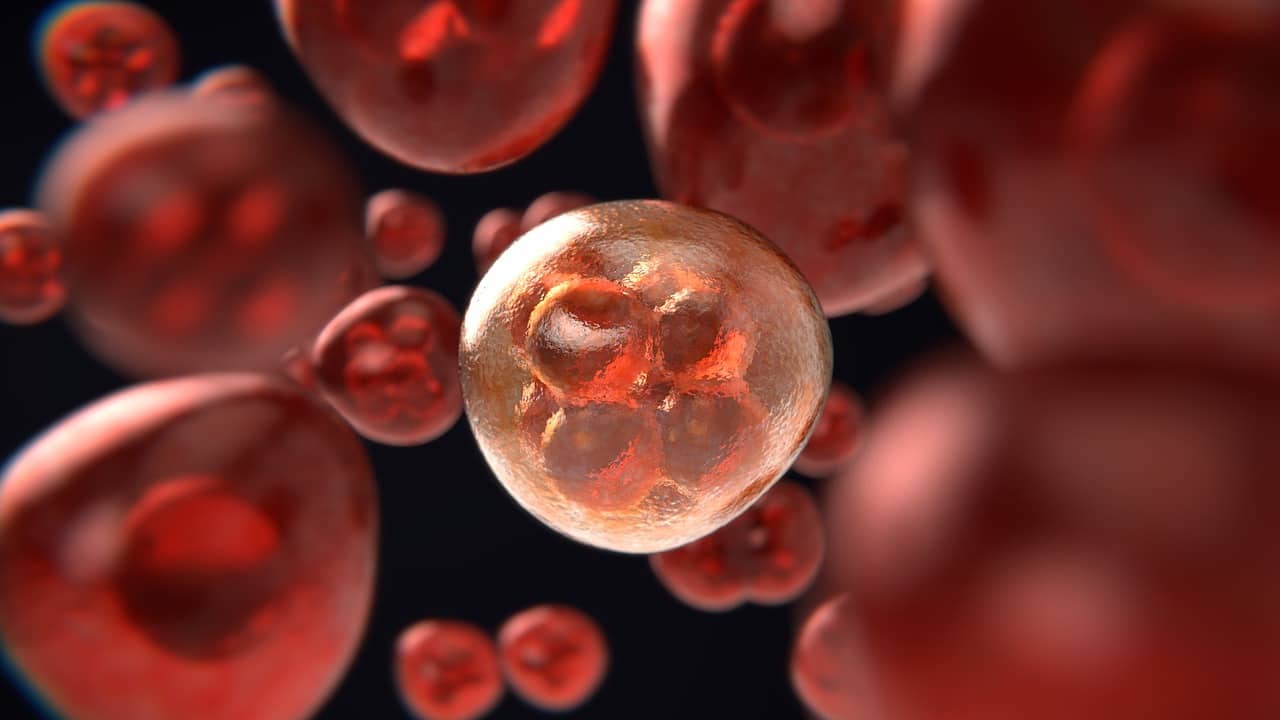 Исследование: Пациенты с Мантийноклеточной лимфомой Реагируют на Клеточную Терапию CAR-T