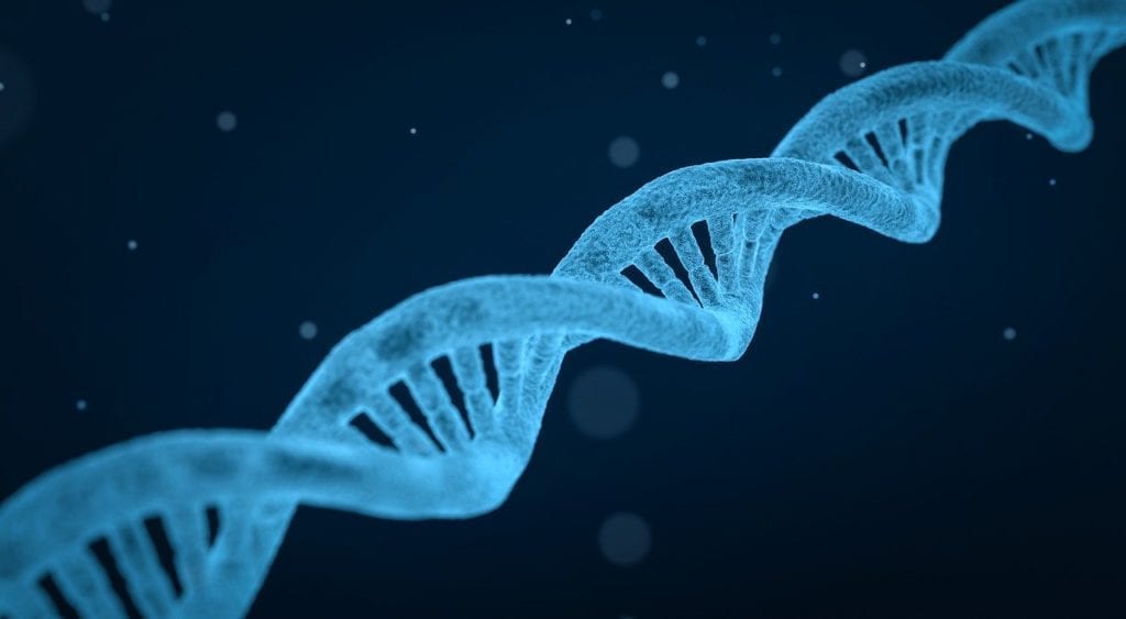 Были Выявлены Генетические Подтипы Миелодиспластических Синдромов (МДС)
