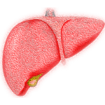 Improving NAFLD and NASH Outcomes Through Novel Drug and Histologic Spectrum Focus