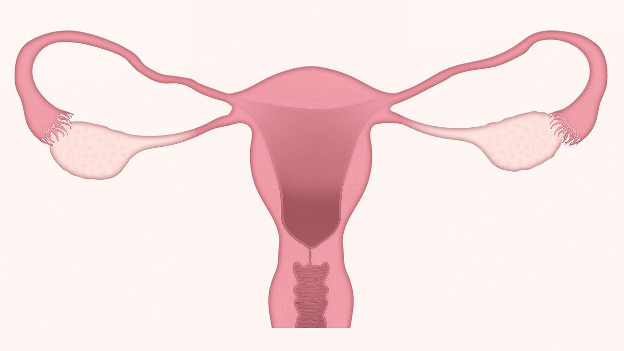Pamiparib pour les cancers de l’ovaire, de la Fallope et du péritonéal reçoit une approbation conditionnelle en Chine