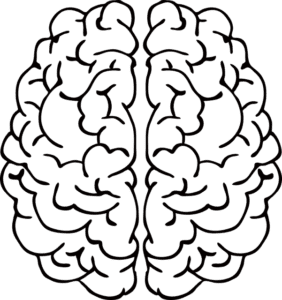 Новое Медицинское Устройство, Изобретенное Пациентом, Поможет Предотвратить Укусы Языка Во Время Судорог